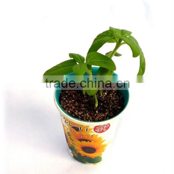 Flower Cup