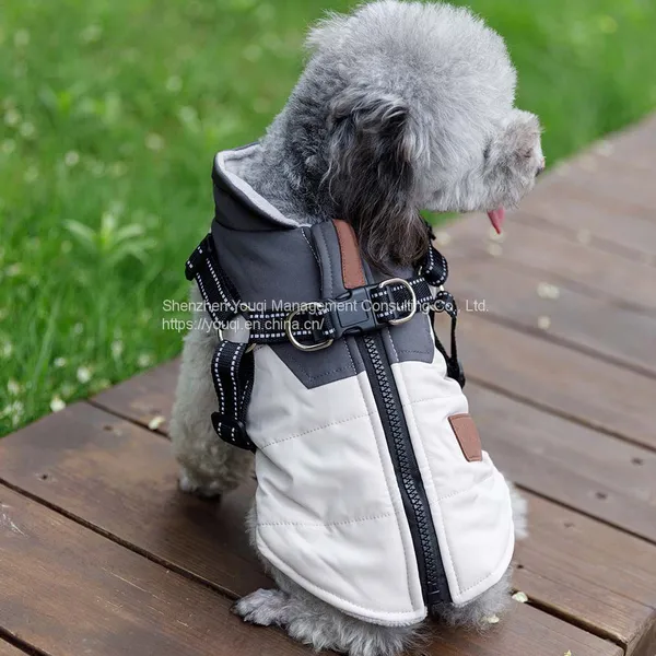 Gray Dog Jacek/ Autumn Gray Dog Clothes/ photo-2