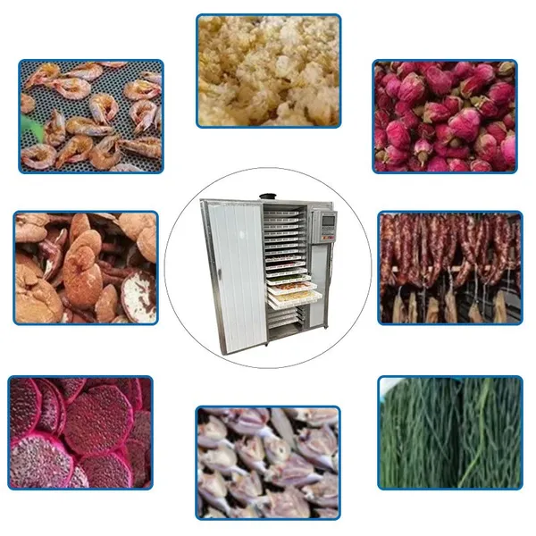 Fruit Drying Room, Papaya and Mango Drying Equipment, Hot Air Food Drying Room photo-2
