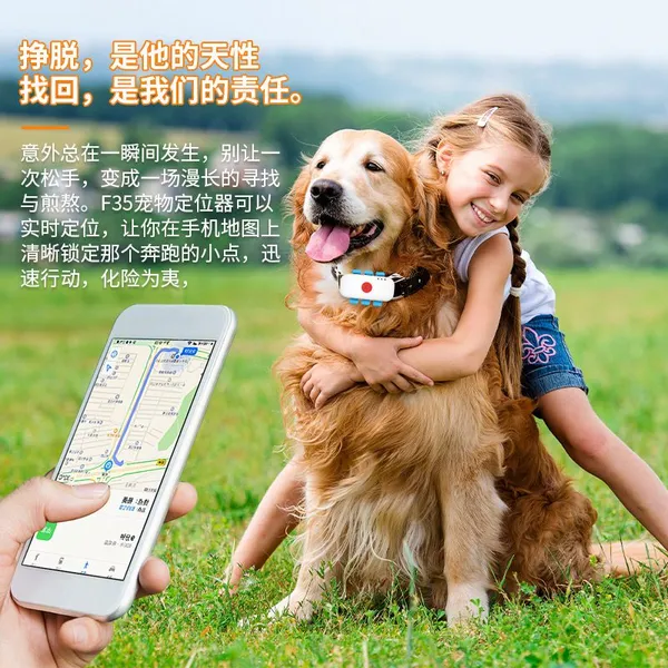 Mini Waterproof Dog GPS Locator Long Standby Pet Tracking Device photo-4