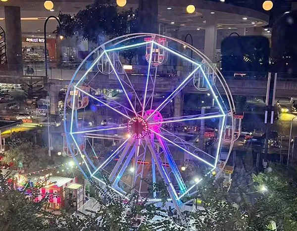 12-15 Meter Ferris Wheel photo-4