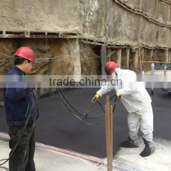 Waterproofing Coating Roof Coating Coating for Tiles photo-4