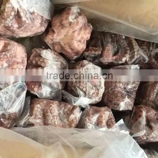 2016 Frozen Baby Octopus 20-60g/pcs for Sale photo-2