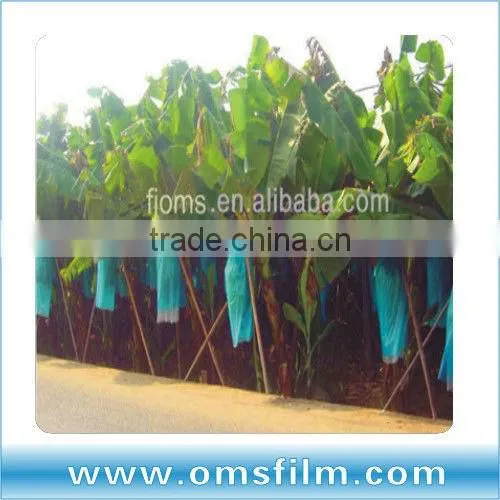 LDPE Blue Banana Plastic Bags With Chloropyrifus photo-2