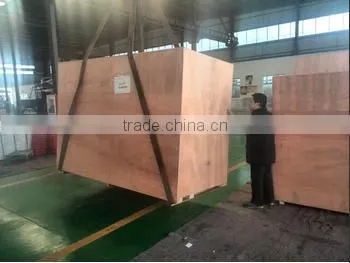 Hot ! Building Standby Power Ricardo Power Generator Equipment photo-3