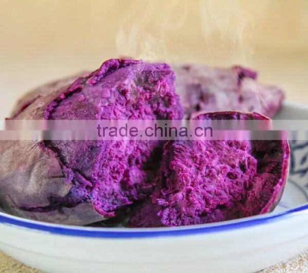 Fresh Purple Sweet Potato For Sweet Potato Buyers photo-4