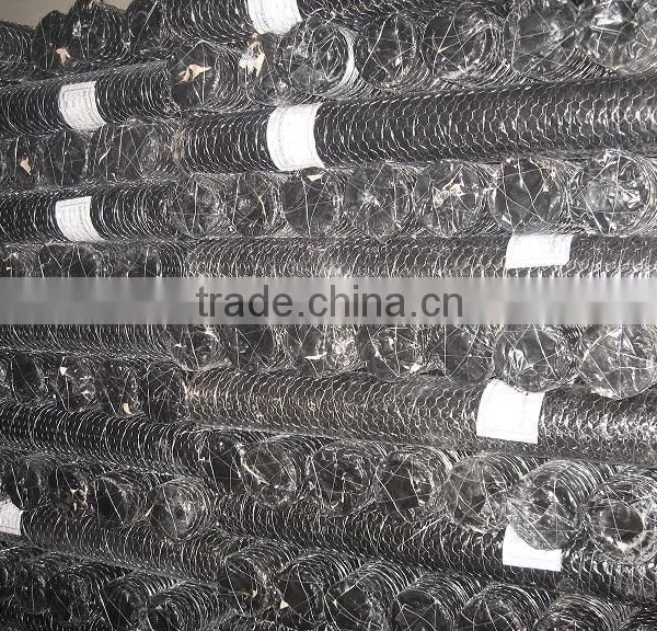 Cheap Price High Quality Fence Mesh Chicken Wire Mesh photo-4