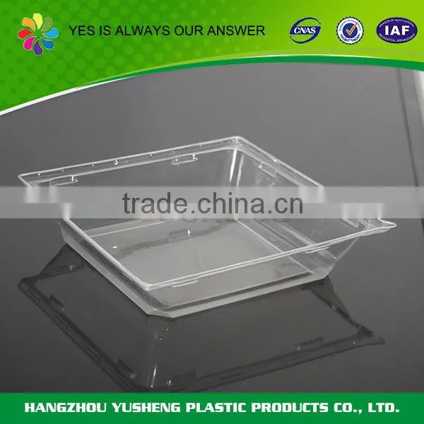 Clear Plastic Disposable Food Container,plastic Cheap Food Container photo-5