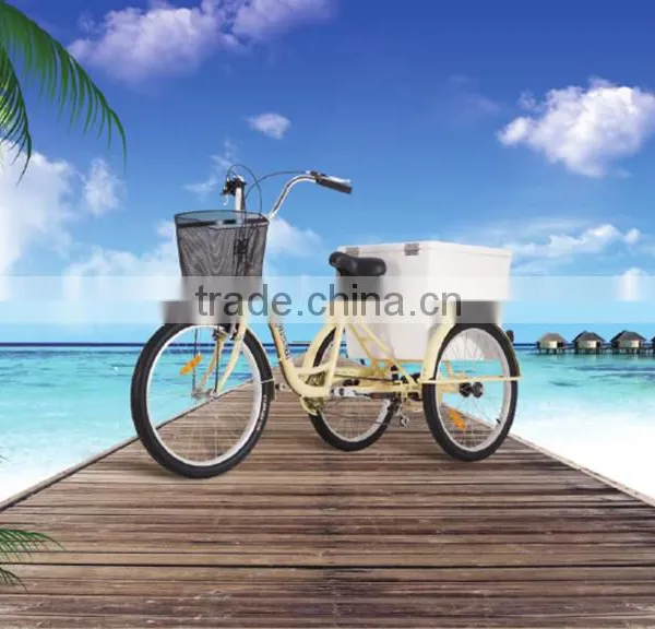 Tricycle for Adults