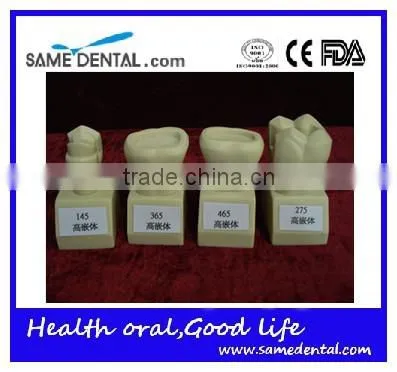Hot Sale 4 Times Butment Cavity Preparation Model Gingival School Teaching Demonstration Models photo-6