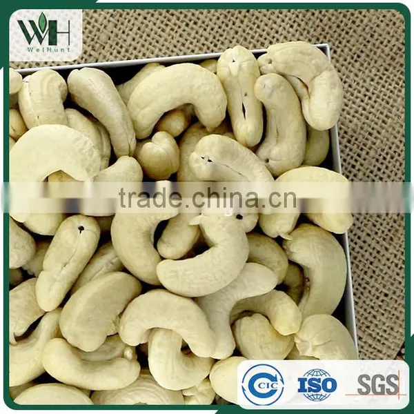 Pale Ivory Asia Cashew Nut Without Shell photo-3