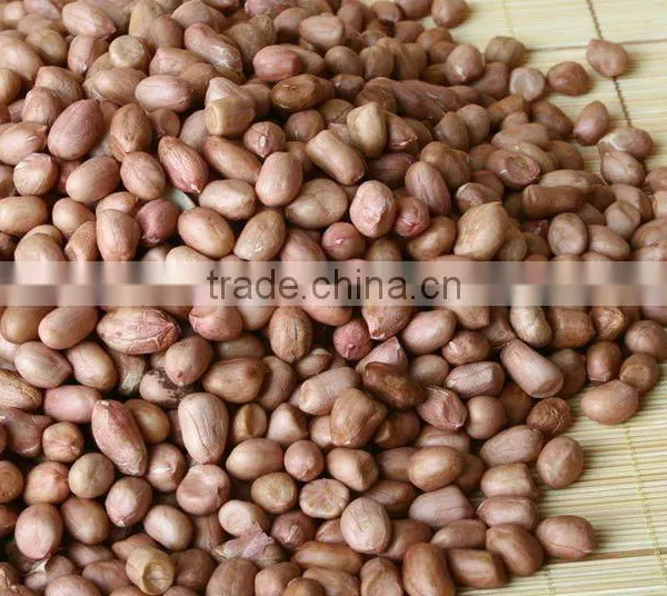 (nuts&kernels) China Peanut Kernel Direct Supplier (60/70)