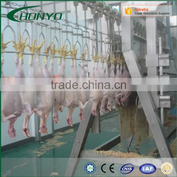 Full Stainless Steel Structure Halal Poultry CHICKEN SLAUGHTER AND ABATTOIR MACHINE LINE photo-2