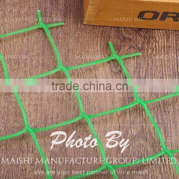 HDPE Plastic Netting photo-2