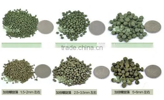 Fish Food Machine photo-4