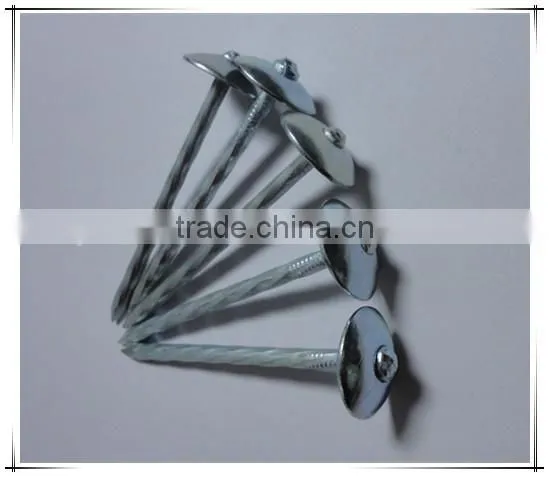 Best Price Umbrella Head Smooth Plain Shank Roofing Nail Made in China photo-3