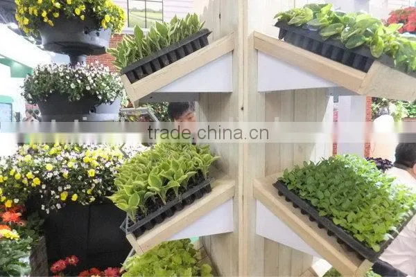 China Good Supplier Trade Assurance 353 Rice Seedling Tray photo-5