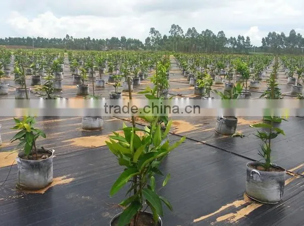 Agrotextile Ground Covers photo-3