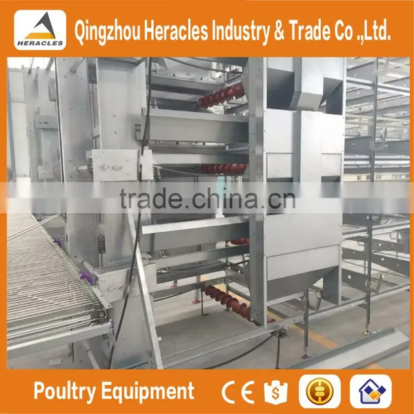 High Quality Chicken Farm Automatic Layer Poultry Equipment Chicken Cage for Sale photo-6
