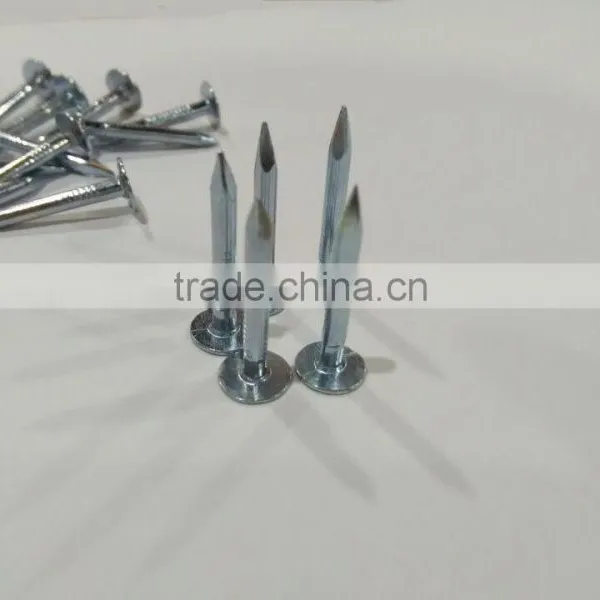 Galvanized Clout Nails With Flat Head photo-3