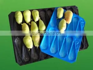 China Supply Cheap Plastic Fruit Tray photo-5