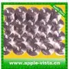Z26005 Wire Drawing Dies/ Pcd Wire Drawing Dies