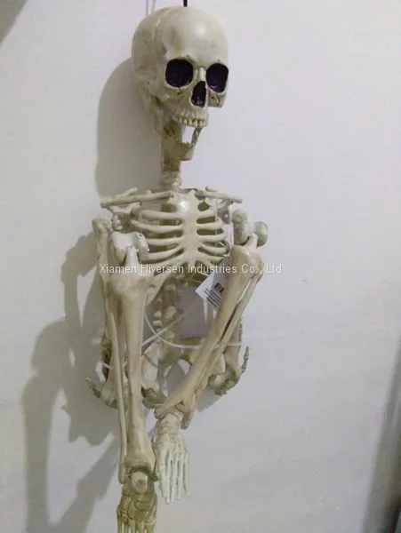 Cheap Halloween Skeleton 100% Plastic 35in Hanging Human Skeleton for Halloween Decoration