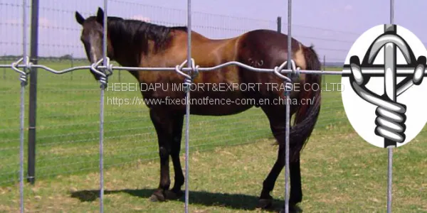 Hot Dip Zinc Coating Horse Fixed Knot Fence