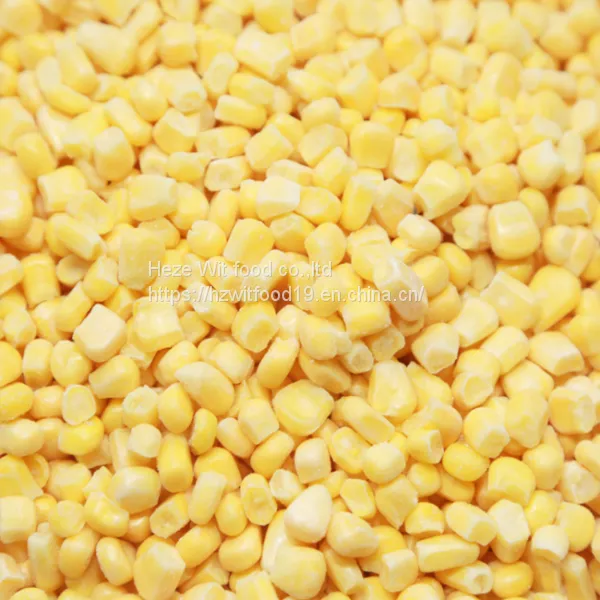 IQF Sweet Corn Kernels photo-3