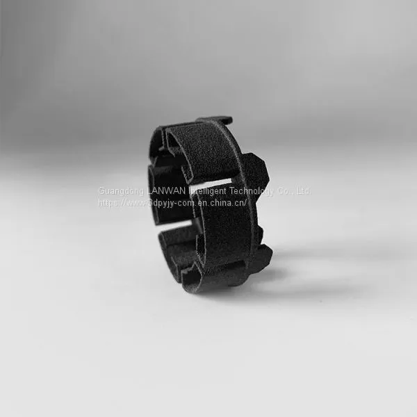 Wholesale Resin 3d Print 3d Printed Ring for Decoration photo-2
