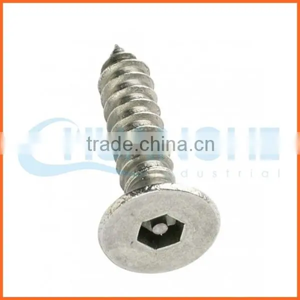 China Supplier Custom Security Anti-theft Screw photo-2