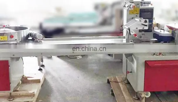 Automatic Factory Price Screw o Ring Counting Packing Line Machine photo-4
