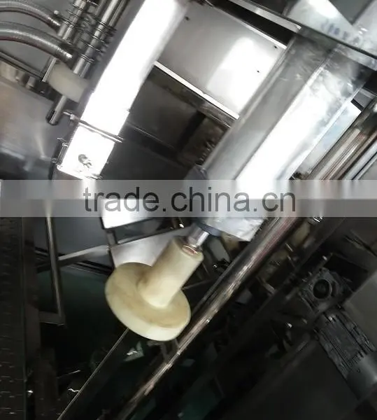 19L Bottled Water Filling Machine, 5 Gallon Filler, Water Packing Machine photo-6