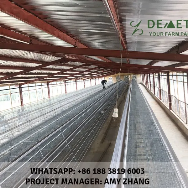 Ethiopia Layer Chicken Cage Equipment photo-5
