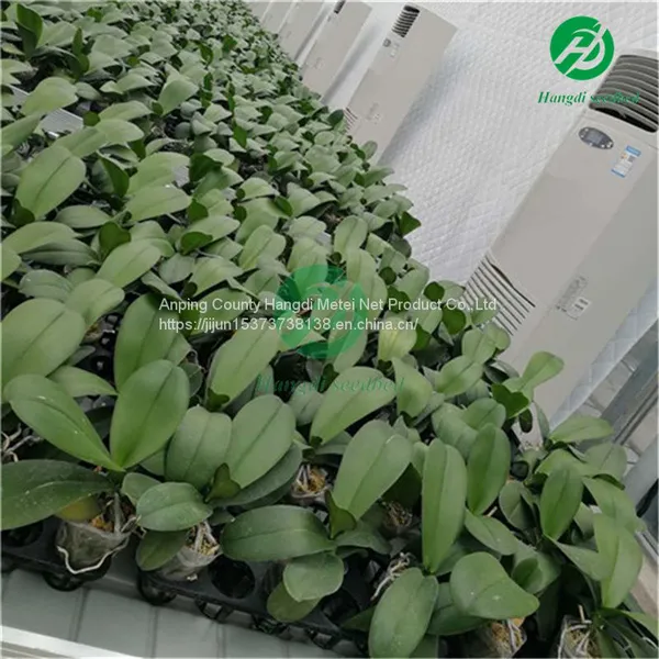 Agricultural Planting Rolling Bench Ebb and Flow Tray Tobacco Seedbed in Greenhouse photo-2