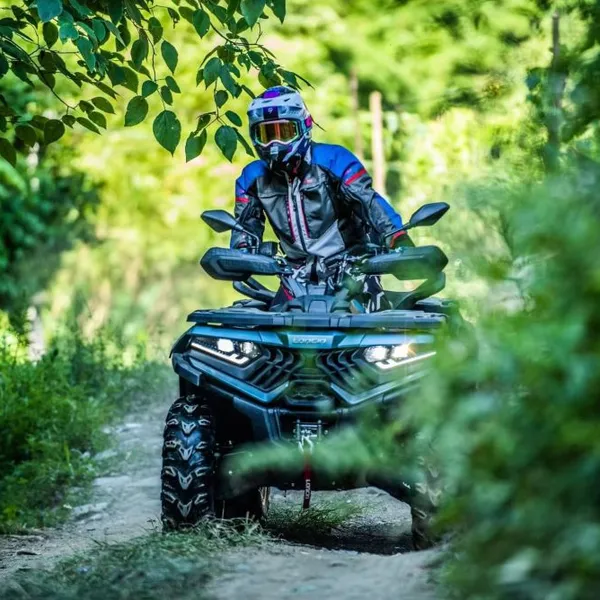 New Designed Off-Road 1000cc 4X4 Drive Motorcycle ATV Adult Quad Bike 4WD photo-3
