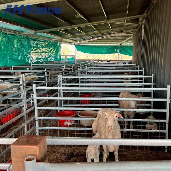 Laser-Cut Welded Oval Rail Cattle Fence Panel for Horse and Sheep Corrals photo-2