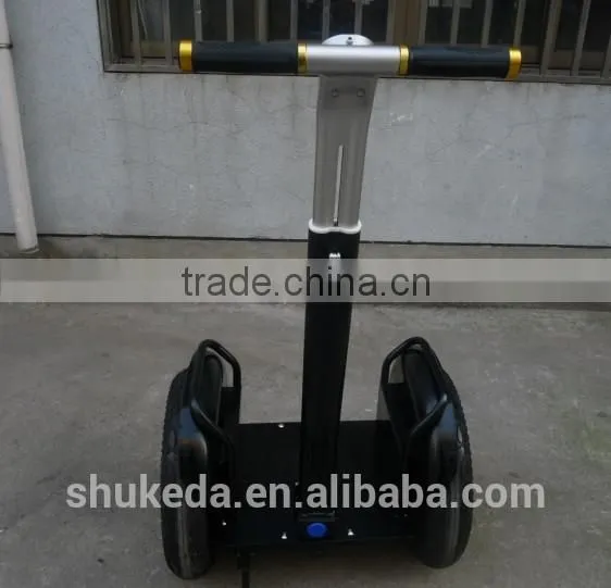 2014 New Condition Remote Controller Zero-emission Electric Chariot Supplier's Choice photo-2