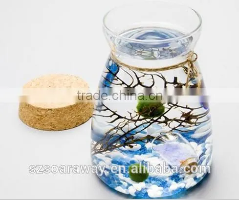 Terrarium Glass Vase Container Pots for Home Wedding Decor photo-2
