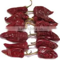 Beijing Red Chilli, Chilli photo-5