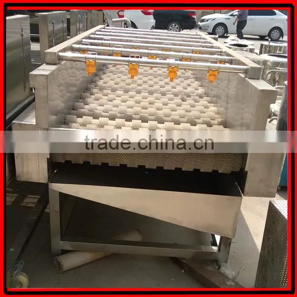 Automatic Brush Date Cleaning Machine|Ginger Washer and Cleaner Machine photo-2