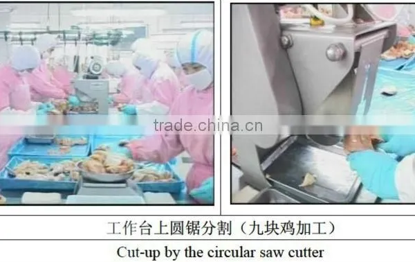 Poultry Cutting Line photo-4