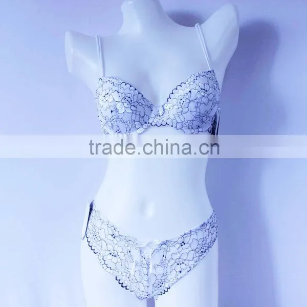 Private Label Bra Set Sexy Transparent Panties and Bra Luxury Bra and Panty Sets Supplier's Choice photo-2