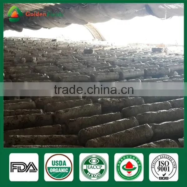 Nutritious Medicinal Fresh Dried Organic Pollution Free Shiitake Mushroom for Restaurant photo-5
