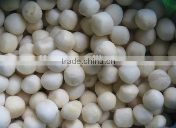 IQF Frozen Vegetables Taro and Frozen Taro Wholesale