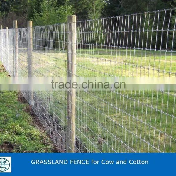 Hot Dipped Galvanized Grassland Fence For Cow And Cotton photo-2