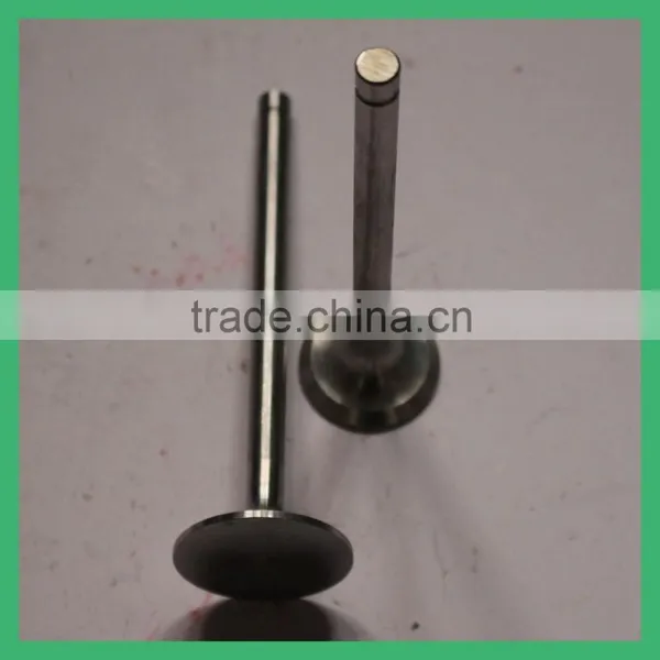 N180 Diesel Engine Valve ,engine Valves photo-2