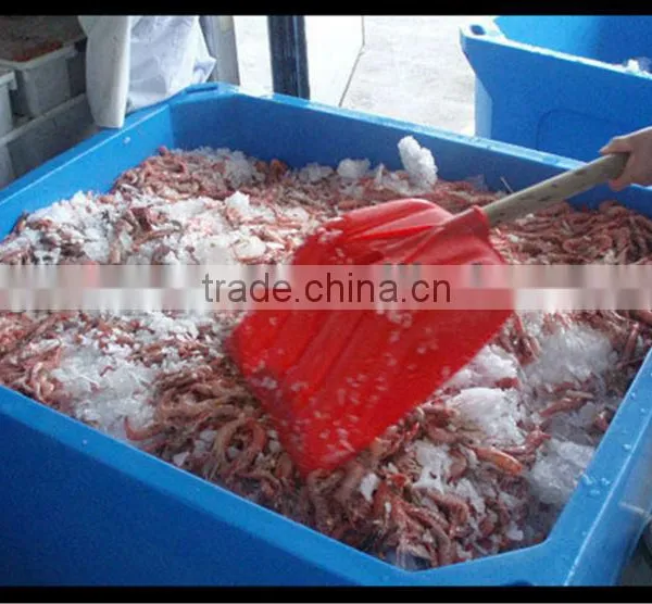 Seafood Processing Roto-moulding Cooler Box photo-6