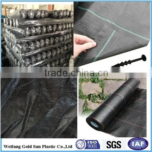 Polypropylene PP Ground Cover Woven Fabric