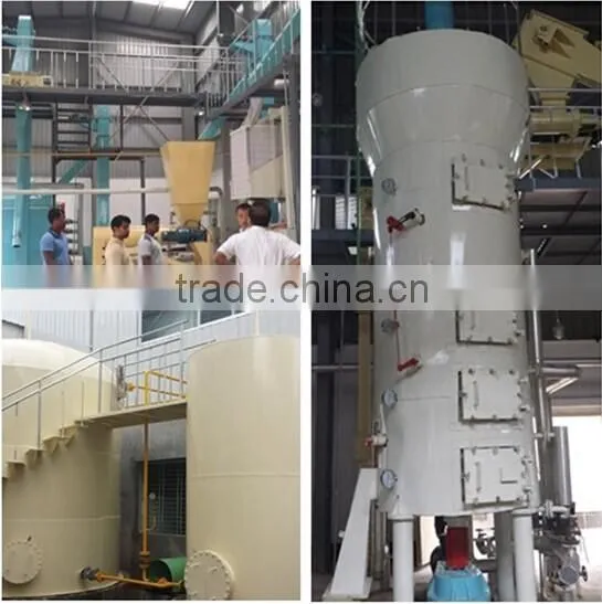 Cold Pressed Grape Seed Oil/oil Press Machine 6yl Series. photo-6